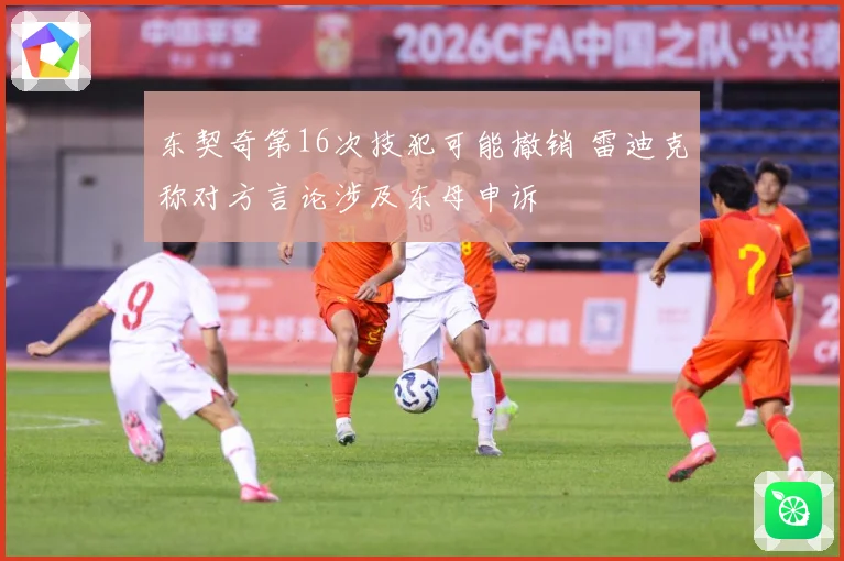 东契奇第16次技犯可能撤销 雷迪克称对方言论涉及东母申诉