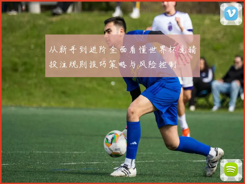 从新手到进阶全面看懂世界杯竞猜投注规则技巧策略与风险控制