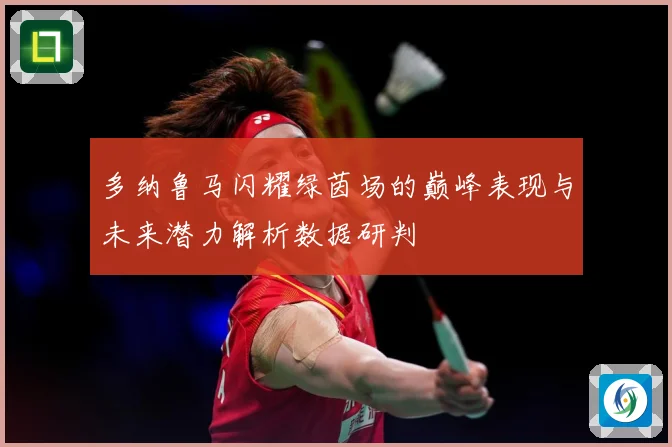 多纳鲁马闪耀绿茵场的巅峰表现与未来潜力解析数据研判