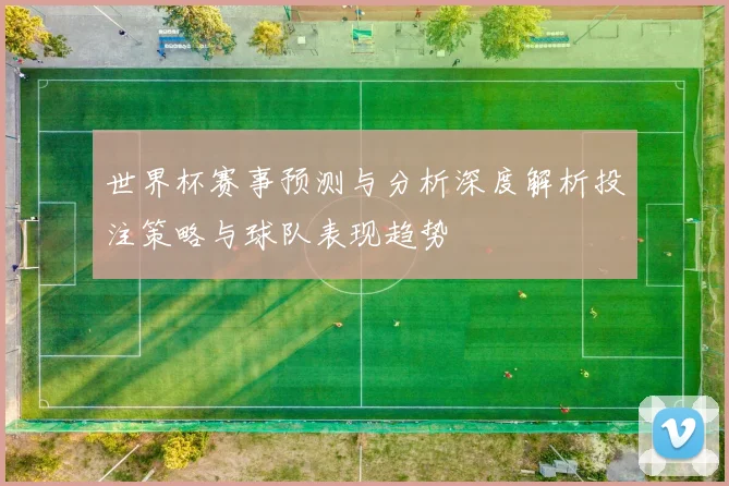 世界杯赛事预测与分析深度解析投注策略与球队表现趋势