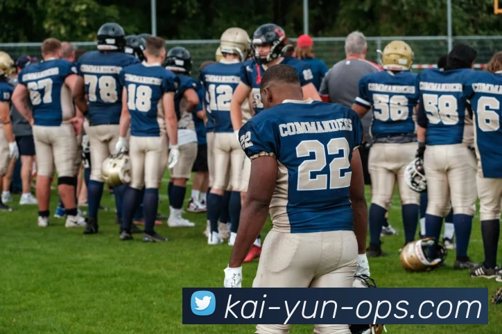 开云平台展示图