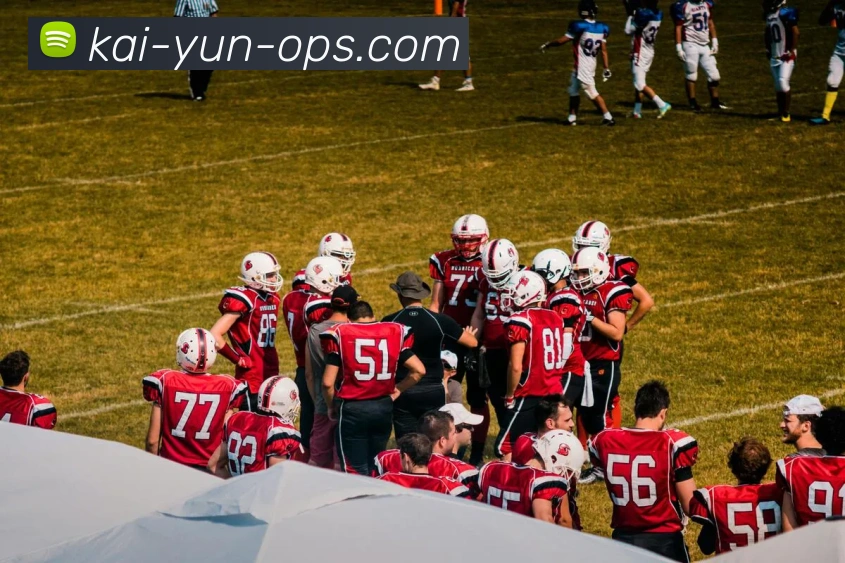 开云官网全站App